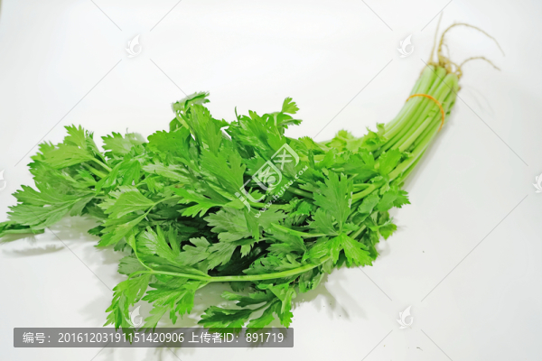 芹菜素材,綠葉菜