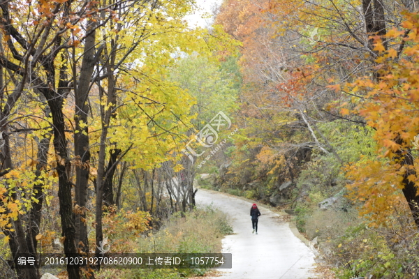 都山秋色