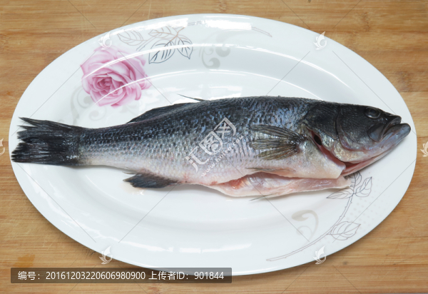 鱸魚(yú)