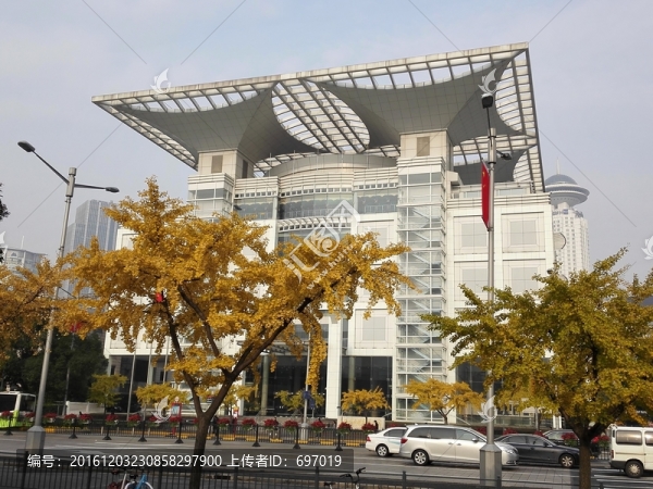 金燦燦的銀杏樹(shù)