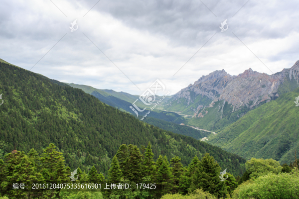 四川黃龍高山峽谷森林