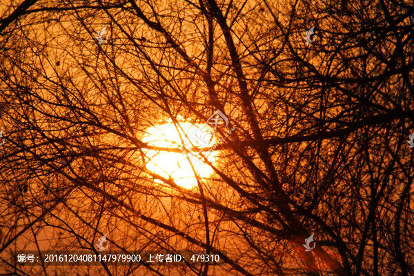 黃昏,太陽