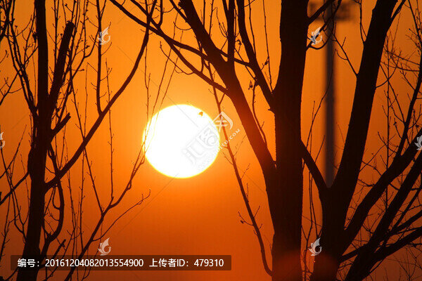 黃昏,太陽,日落,暖色,冬天