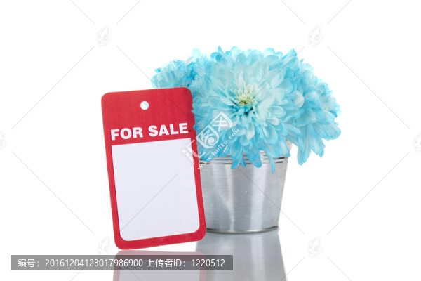 出售一桶Chrysanthemums