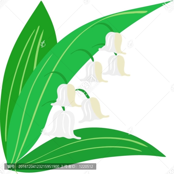 山谷莉莉插圖