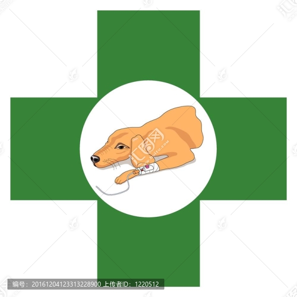 帶狗的獸醫(yī)十字征