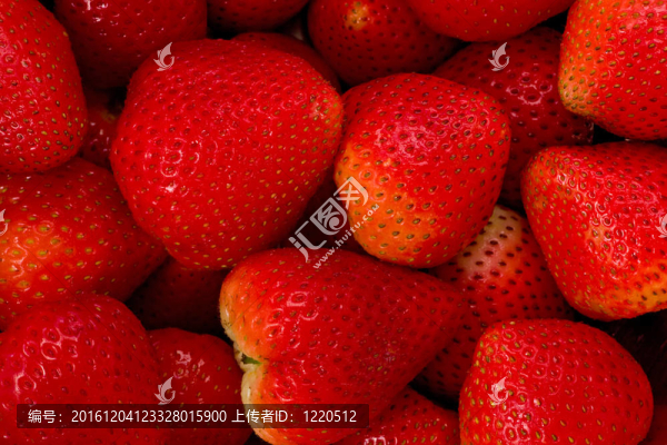 草莓（Fragaria,ananassa）