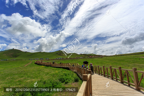 若爾蓋草原花湖沼澤棧道
