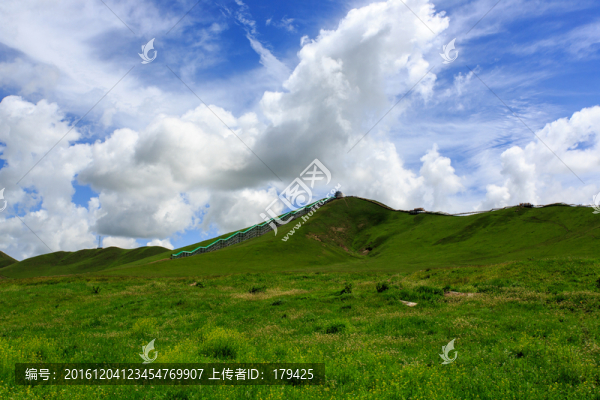 若爾蓋花湖草原牧場