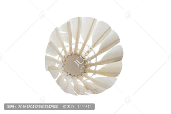 羽毛球