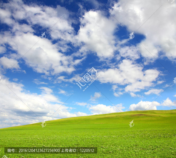 綠色的山與草在天空下