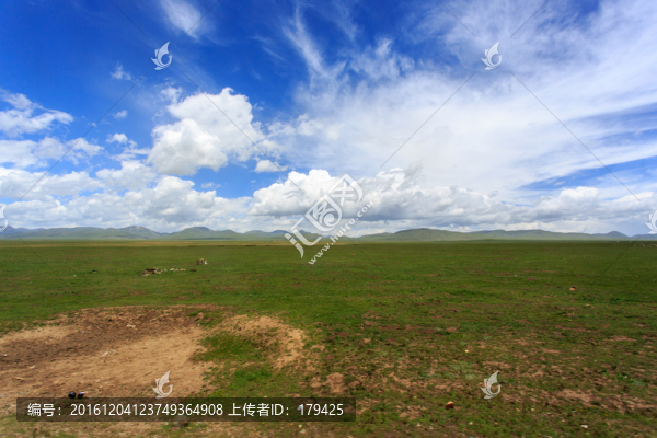 若爾蓋花湖草原牧場(chǎng)