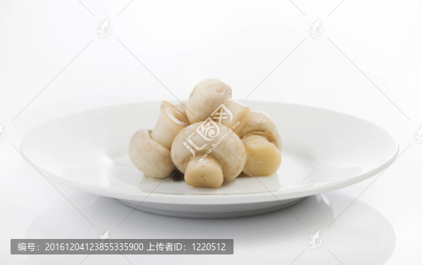 蘑菇