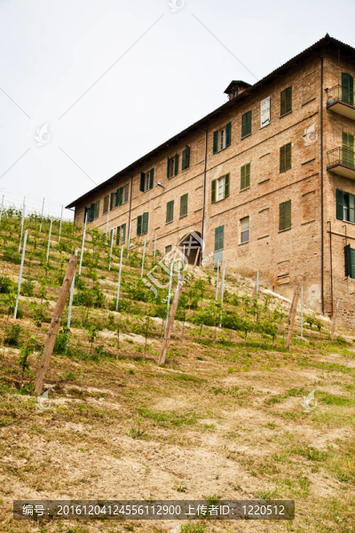 意大利葡萄園-,Monferrato