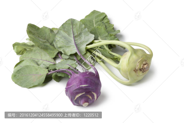 白色和紫色的大頭菜