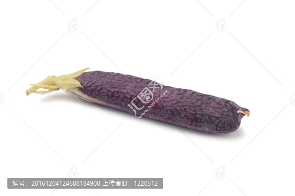 紫色莢豌豆
