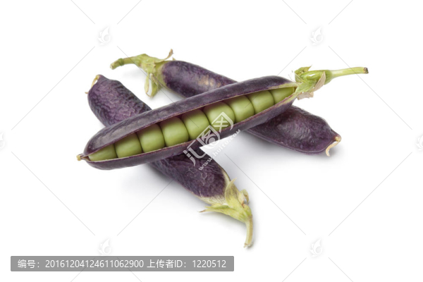 紫色莢豌豆