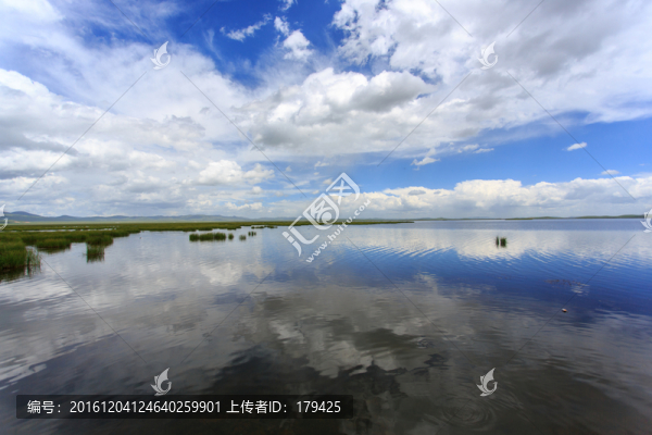若爾蓋花湖海子湖泊