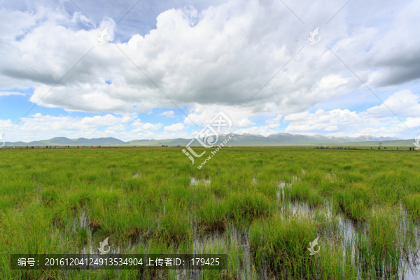 若爾蓋花湖草原牧場(chǎng)