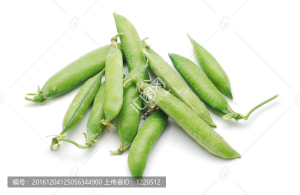 豌豆