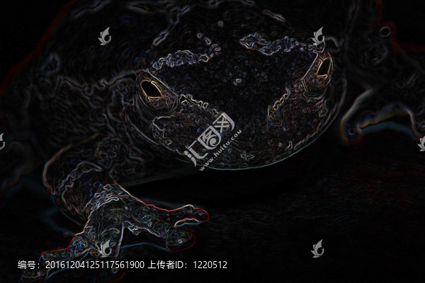 霓虹燈應(yīng)付的灰色樹蛙
