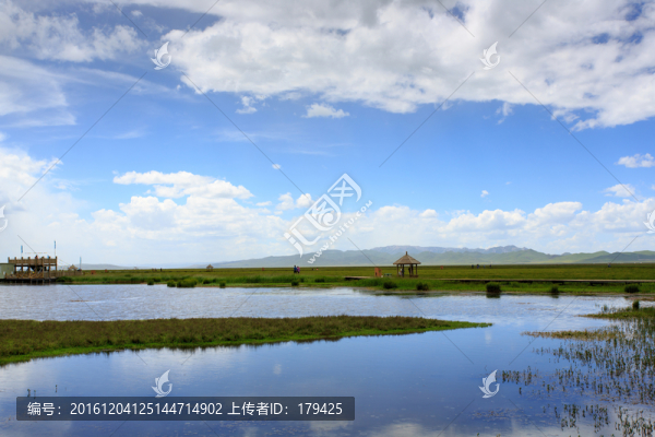 若爾蓋草原花湖沼澤