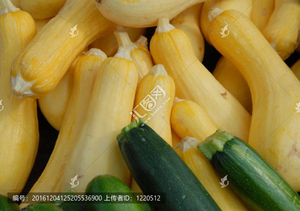黃南瓜
