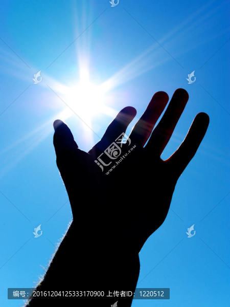 太陽(yáng)在掌心