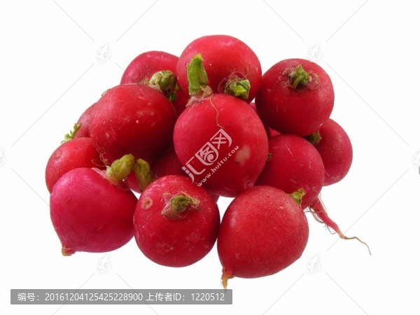 小蘿卜