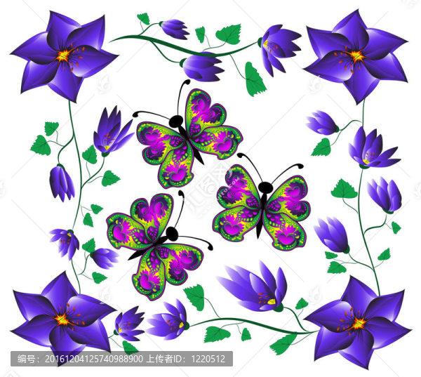 蝴蝶花