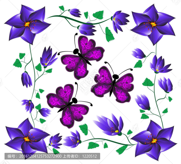 蝴蝶花