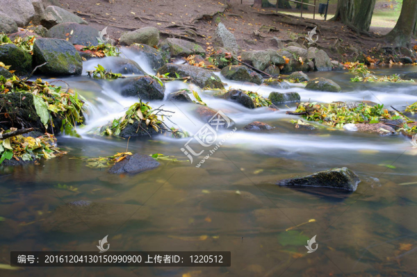 小溪的水