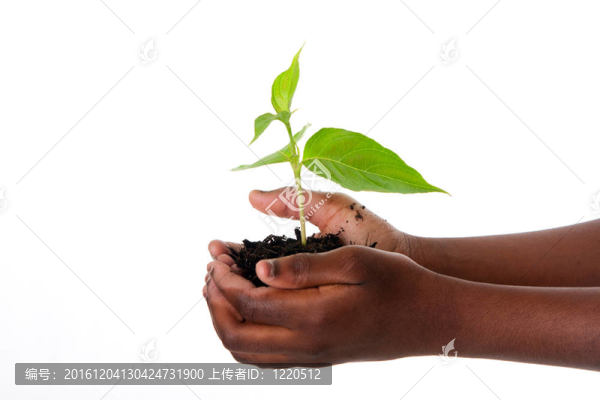 植物在孩子手中