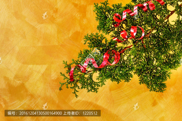 圣誕樹樹枝配紅絲帶裝飾