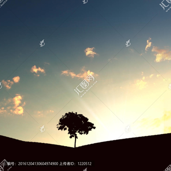 地平線上的孤獨樹