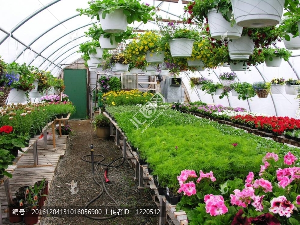greenhouse4