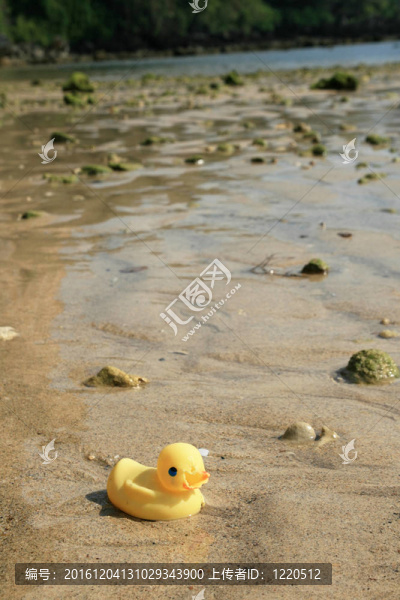 橡皮鴨漂流