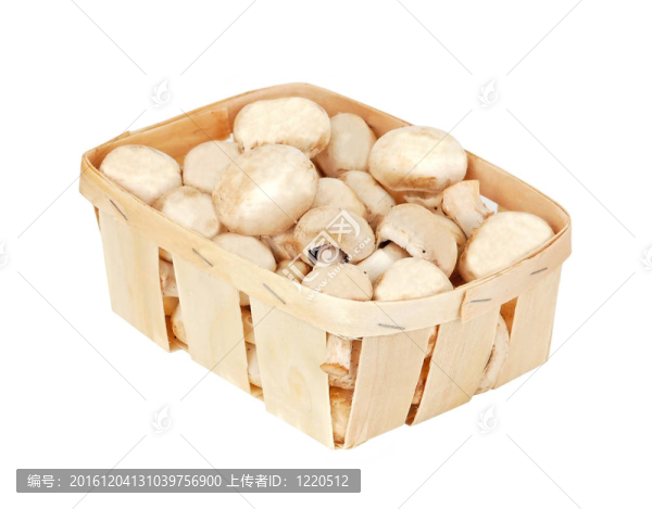 真正的蘑菇在籃子里