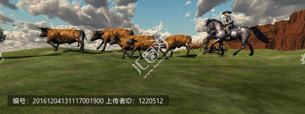 牛綜述