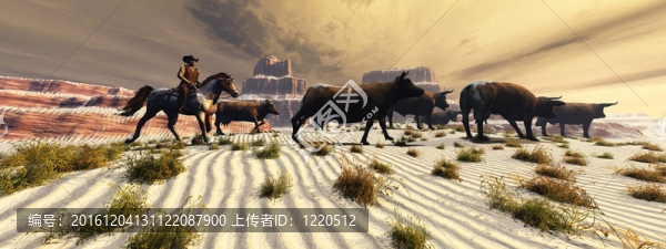回家