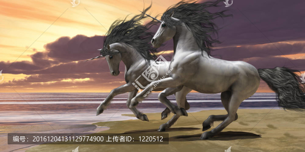 玩獨(dú)角獸1