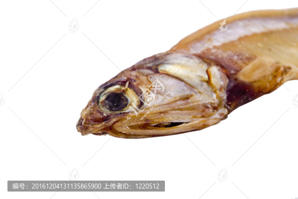 干魚