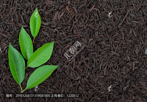 紅茶與葉子