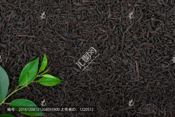 紅茶與葉子