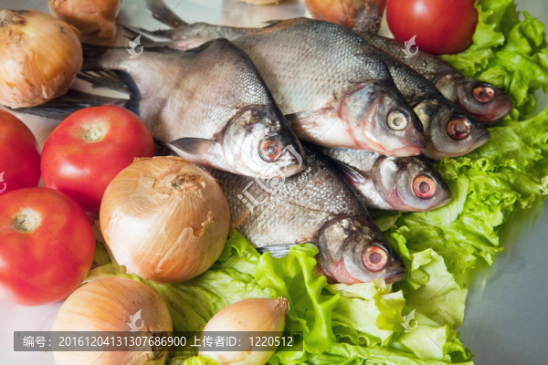 新鮮的魚(yú)