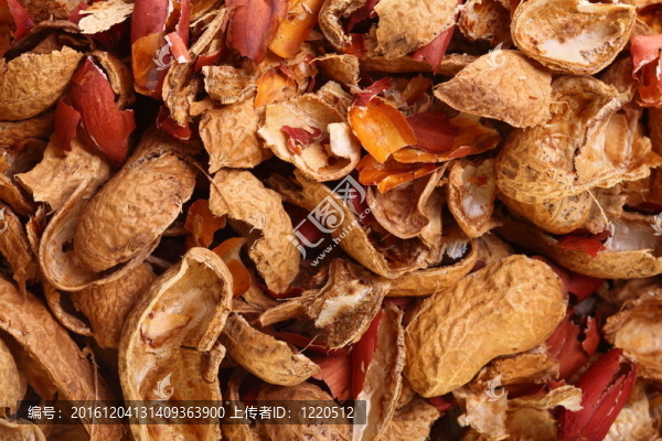 花生自然紋理