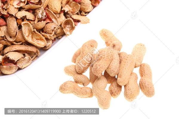 白色背景上分離的花生