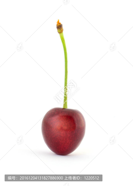 櫻桃白