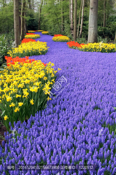 Keukenhof園林花壇