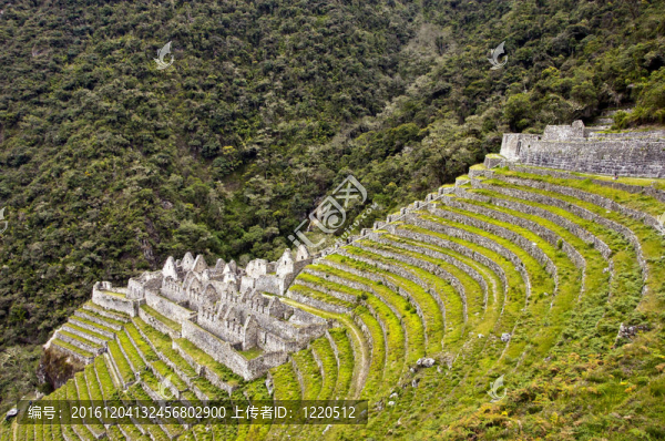 Winay,Wayna梯田